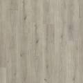 Chene Tendance Gris/Trend Oak Grey 